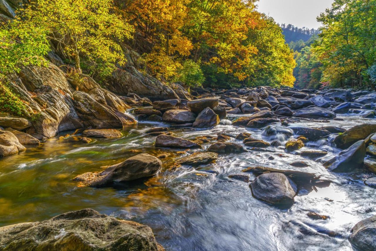 Star Gazing Whispering Pines 644 Διαμέρισμα Pigeon Forge Εξωτερικό φωτογραφία