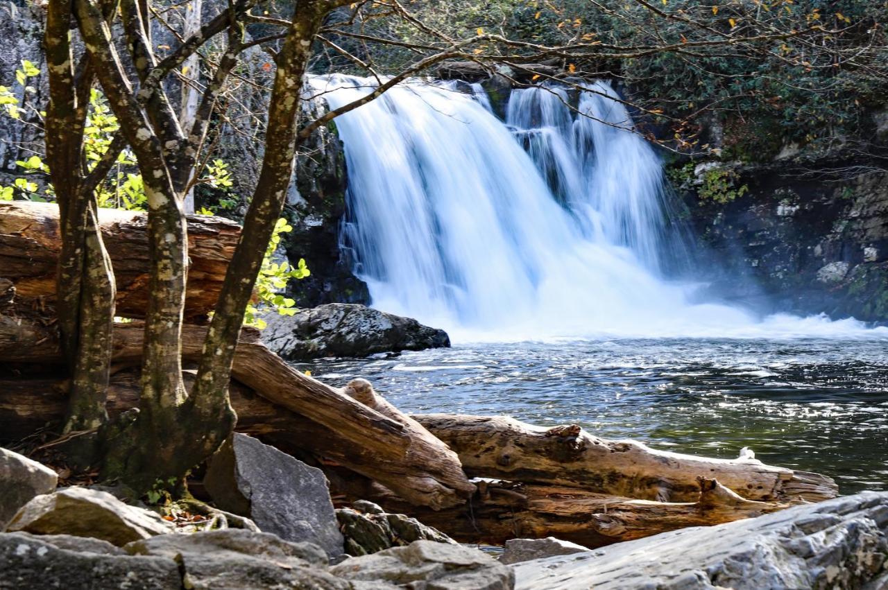 Star Gazing Whispering Pines 644 Διαμέρισμα Pigeon Forge Εξωτερικό φωτογραφία
